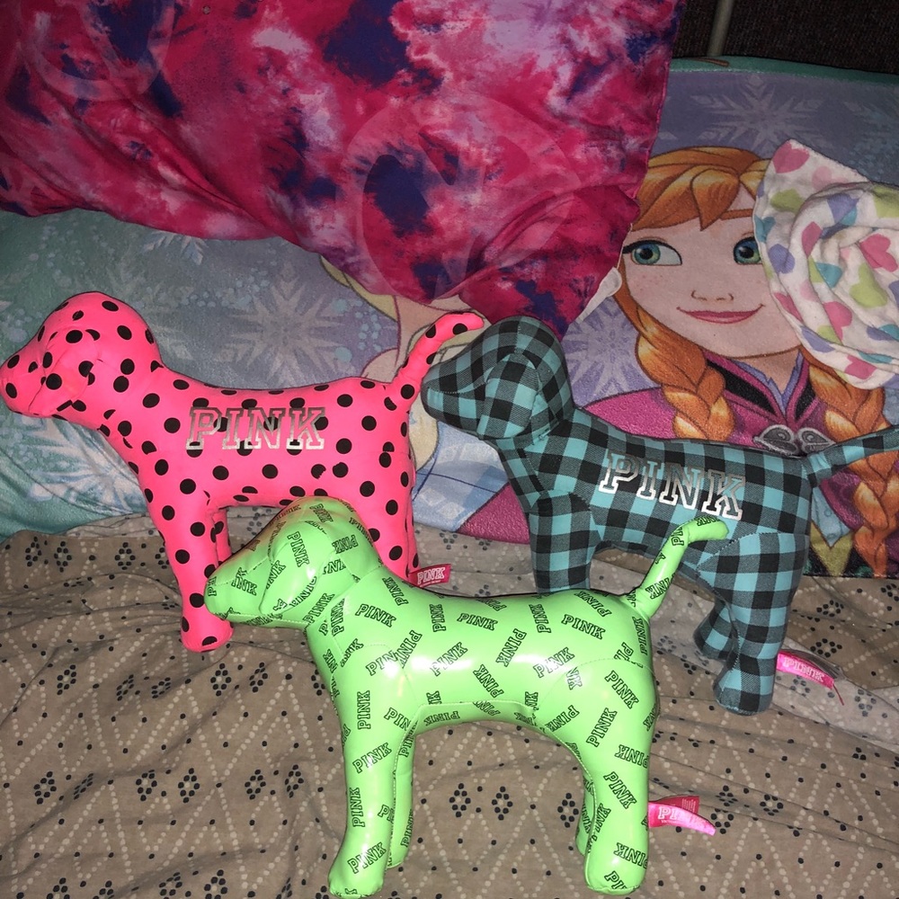 VS Pink Dog Collection